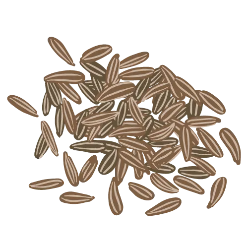 Cumin-pro