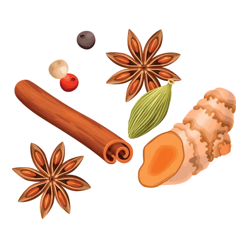 Garam-masala-pro