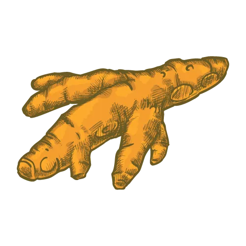 TURMERIC